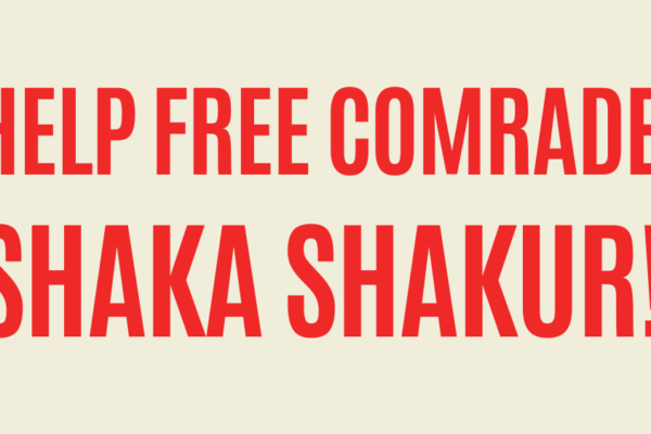 Volunteer For The Struggle!